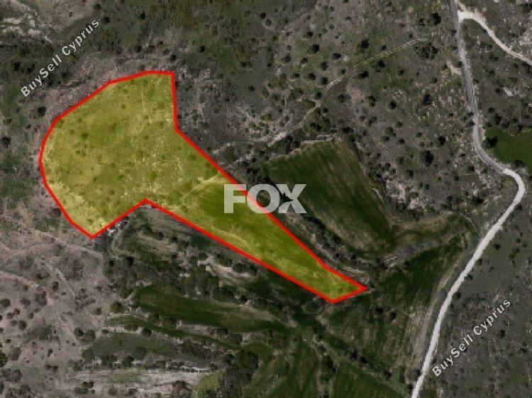 land for sale tala paphos 1159458 image 14827142