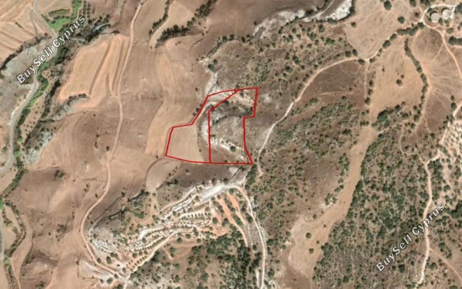 12375 SQM Land for sale in Nata, Paphos 16685760