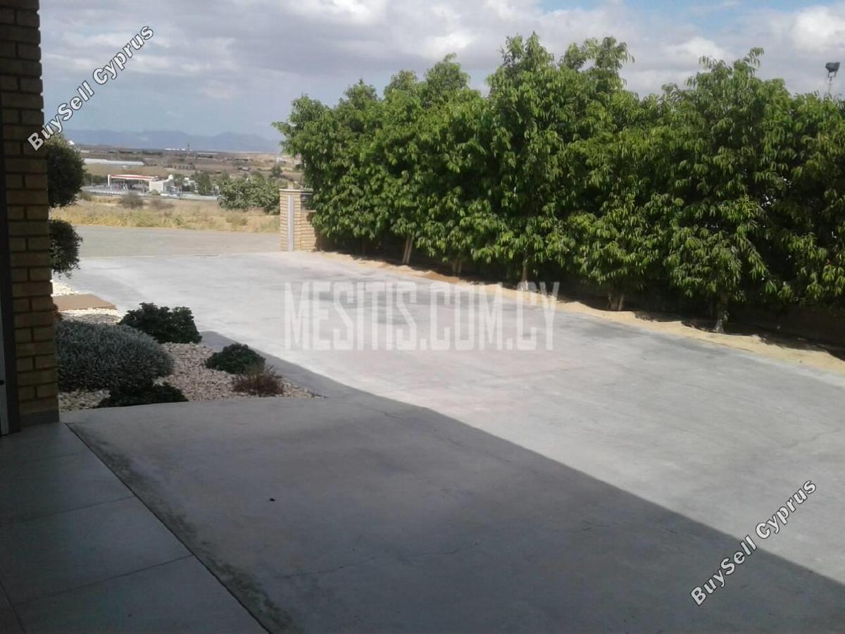4 bedroom detached house for sale dali nicosia 977558 image 10564854