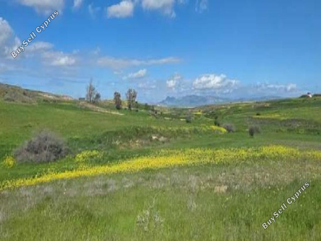 land for sale palaiometocho nicosia 8666558 image 16010408