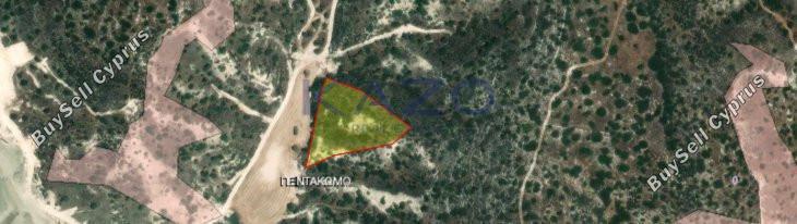 land for sale pentakomo limassol 1735558 image 9775967