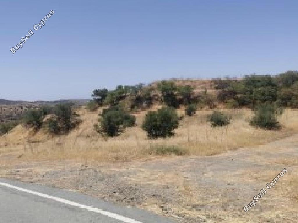 land for sale statos agios fotios paphos 7805558 image 15596376
