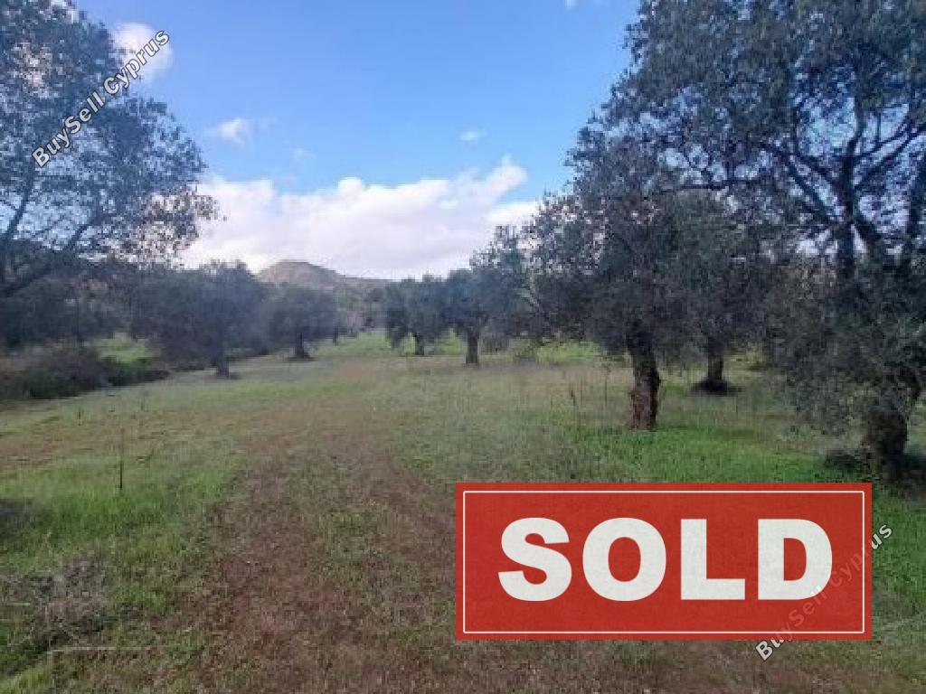 land sold lythrodontas nicosia 1744558 image 4766398