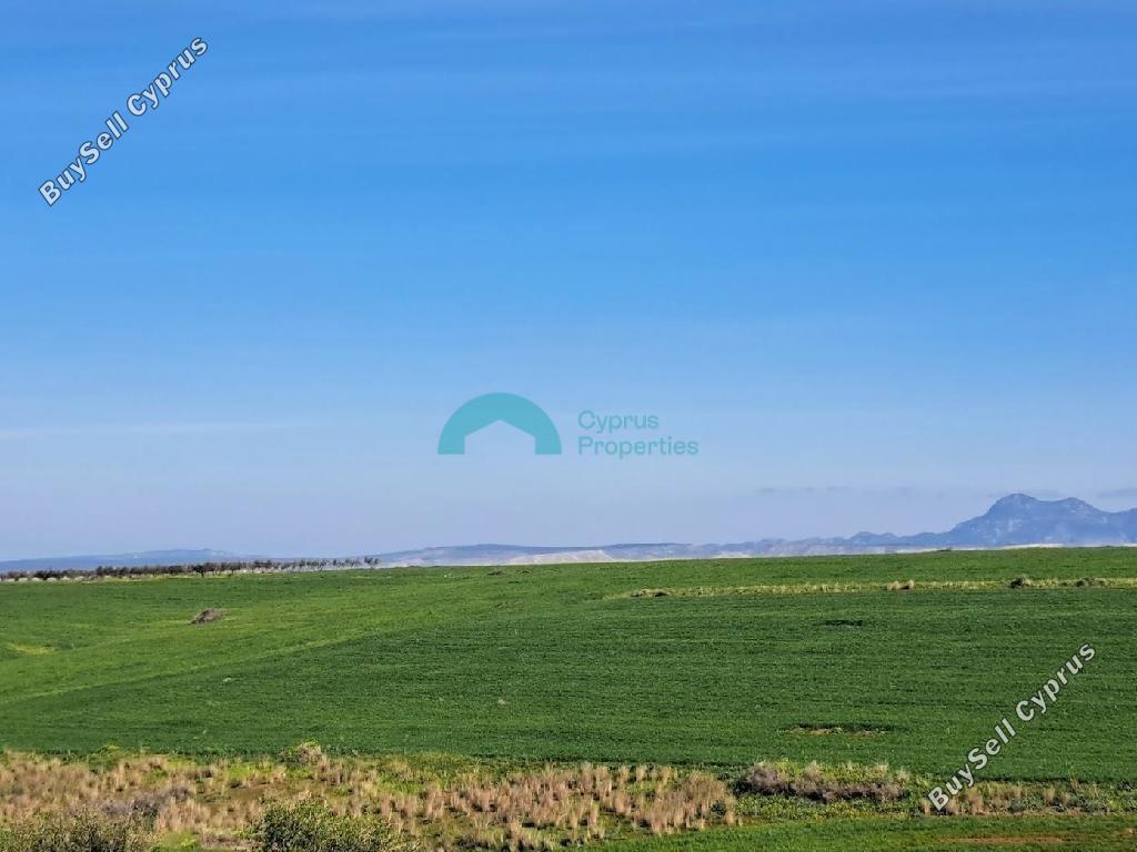 16054 SQM Land for sale in Peristerona Lefkosias, Nicosia 16776632