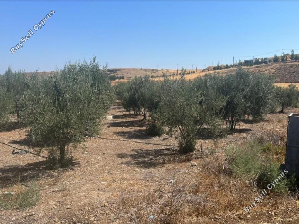 land for sale potami nicosia 1210758 image 3446230