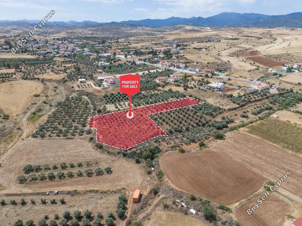 land for sale potami nicosia 1210758 image 3446234