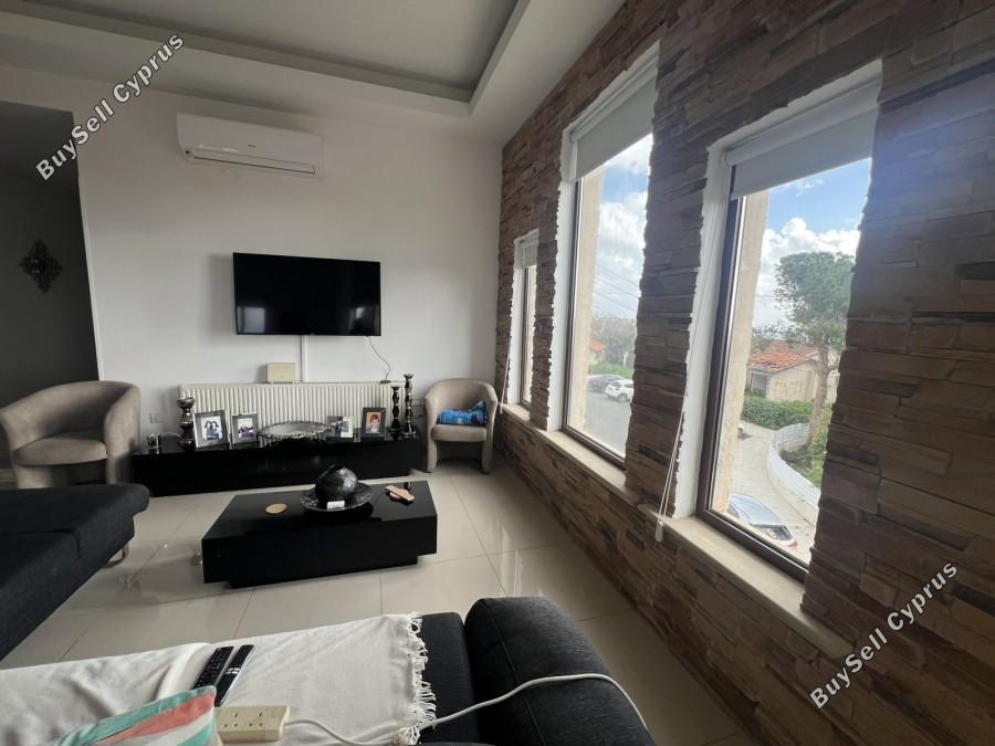 studio building for sale chlorakas paphos 1355758 image 14051256
