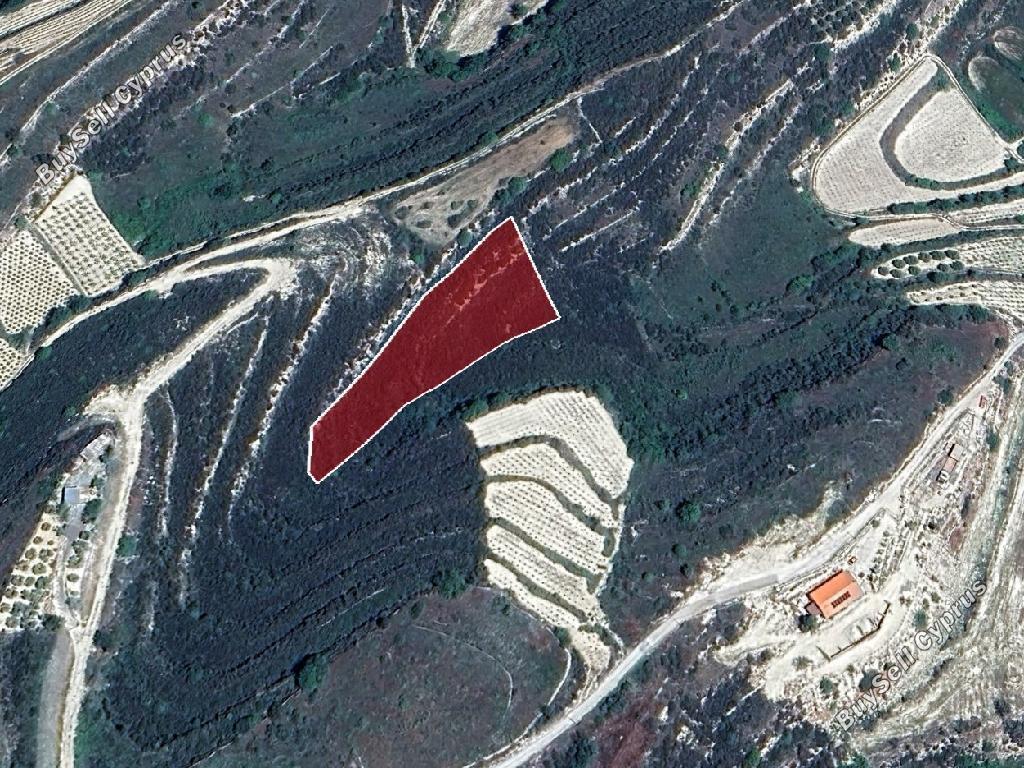 land for sale pachna limassol 8531858 image 15467462