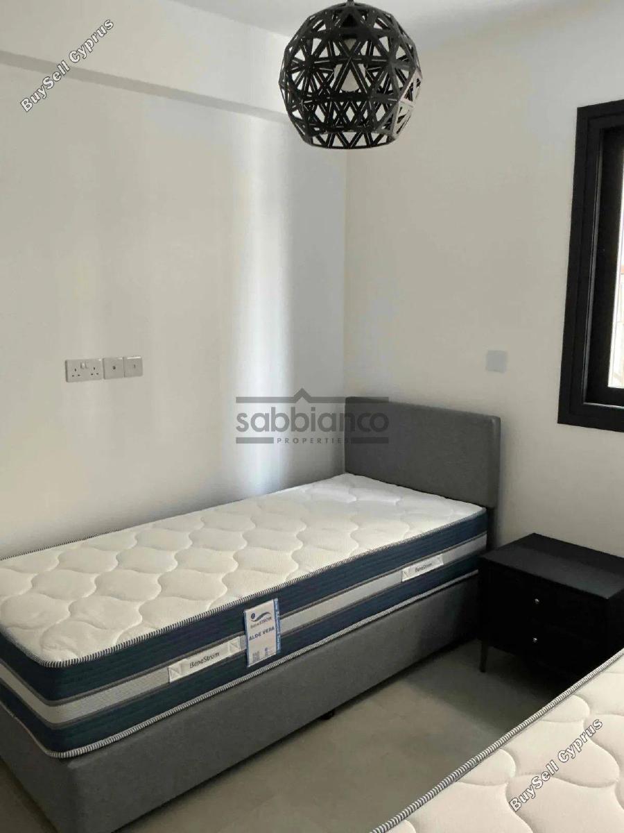 2 bedroom apartment for rent faneromeni larnaca 8739958 image 16376717
