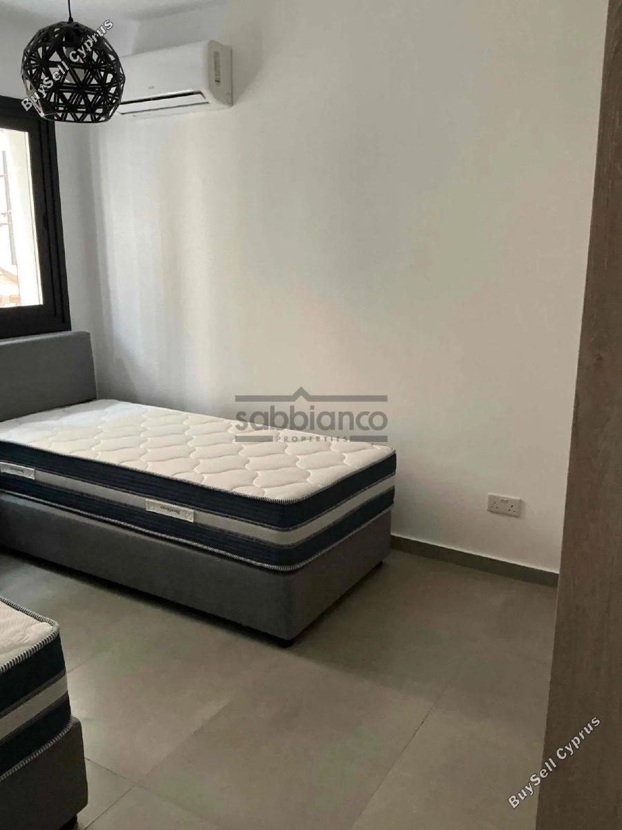 2 bedroom apartment for rent faneromeni larnaca 8739958 image 16376718
