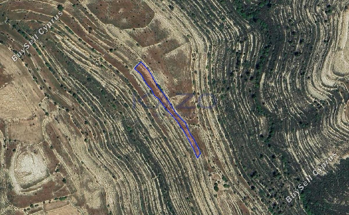 land for sale lofou limassol 8381958 image 15880848