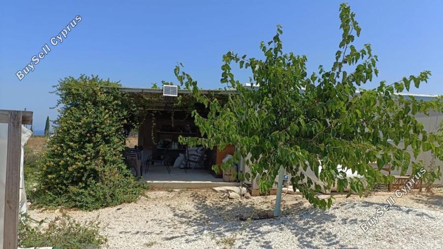 land for sale neo chorio paphos 1385958 image 15298833