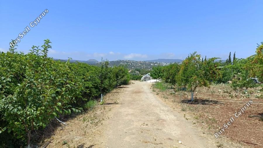 land for sale neo chorio paphos 1385958 image 15298841