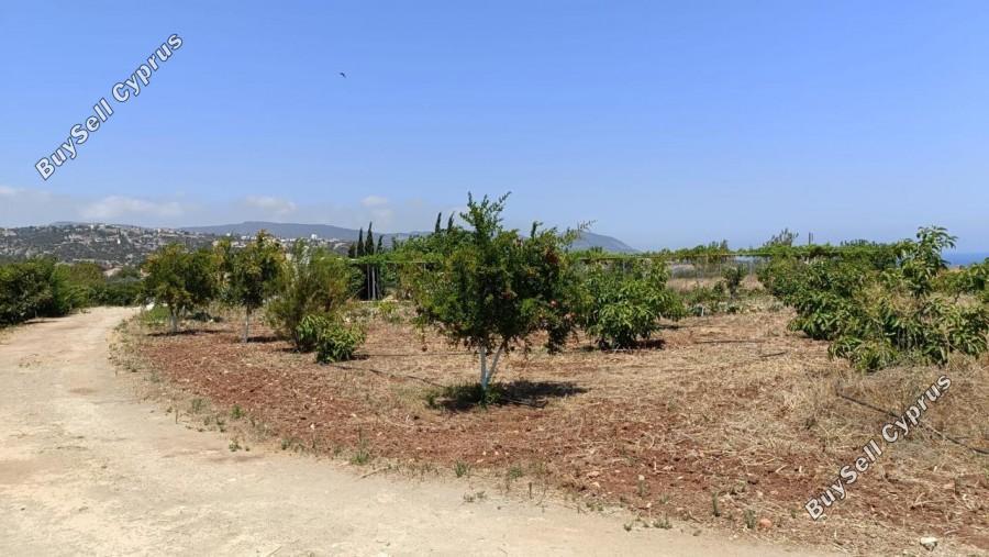 land for sale neo chorio paphos 1385958 image 15298848