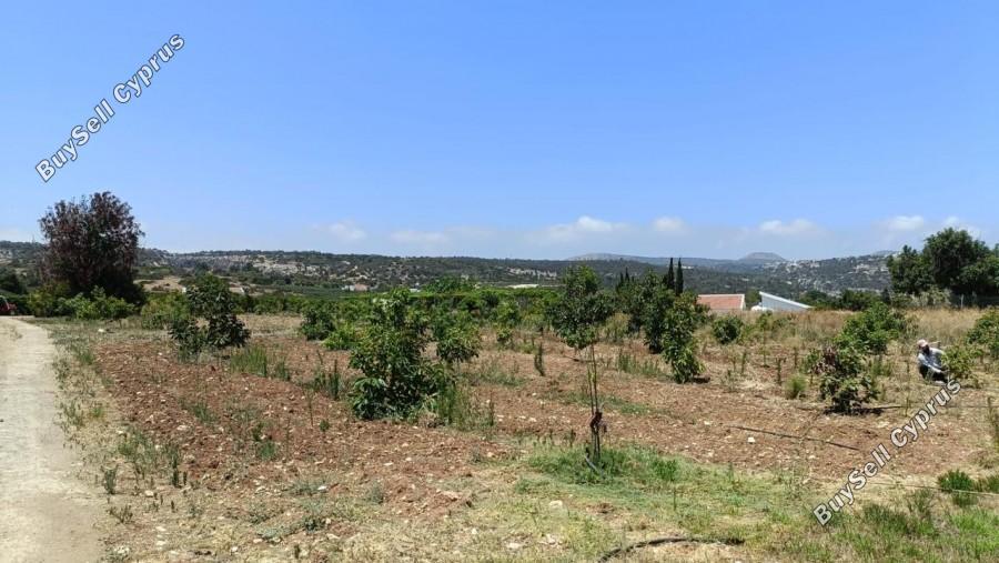 land for sale neo chorio paphos 1385958 image 15298852