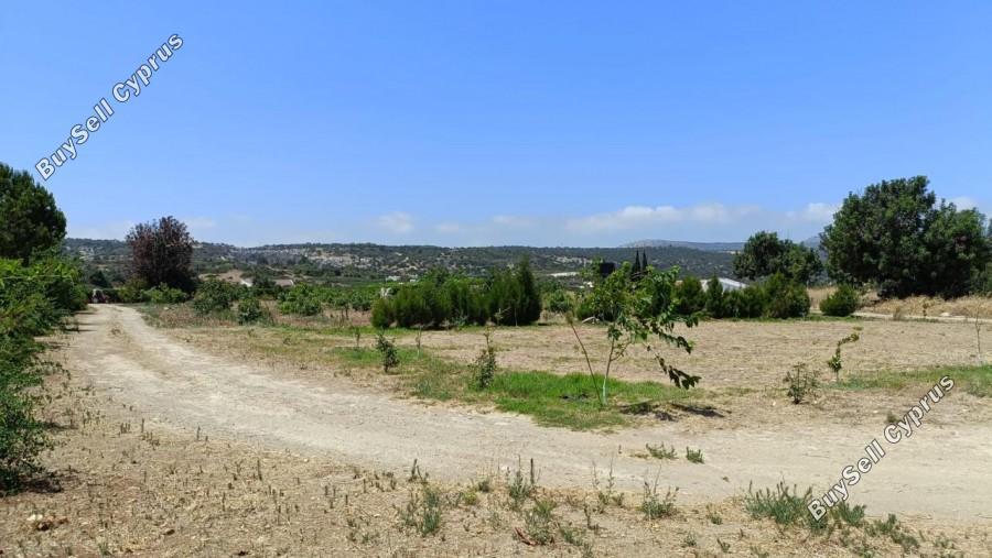 land for sale neo chorio paphos 1385958 image 15298854