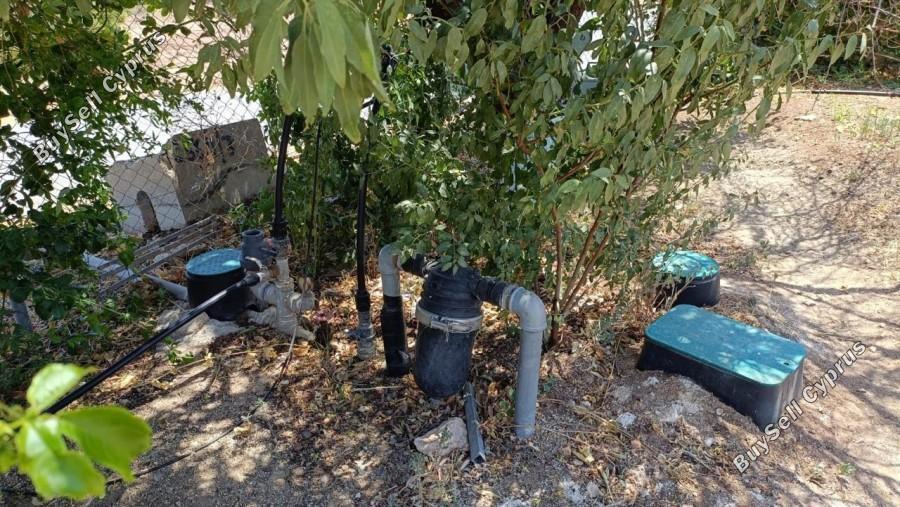 land for sale neo chorio paphos 1385958 image 15298856