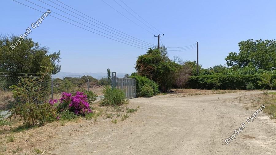 land for sale neo chorio paphos 1385958 image 15298858