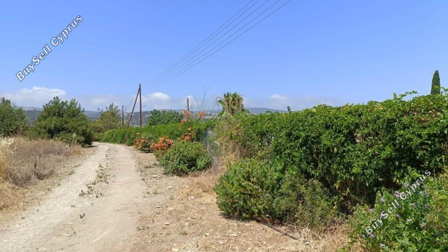 land for sale neo chorio paphos 1385958 image 15298860