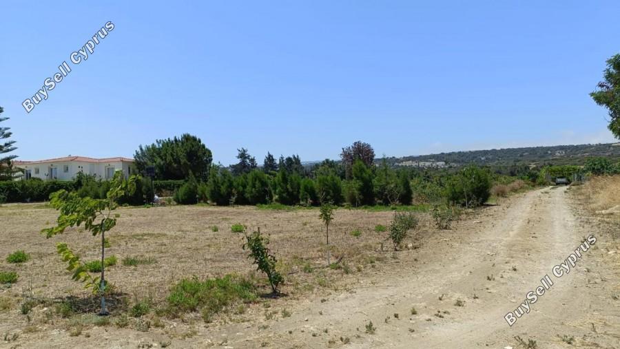 land for sale neo chorio paphos 1385958 image 15298861
