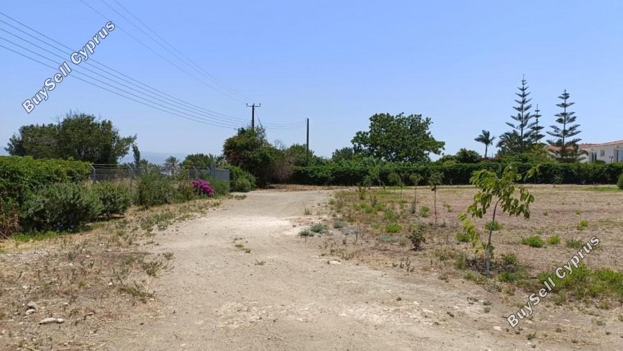 land for sale neo chorio paphos 1385958 image 15298863