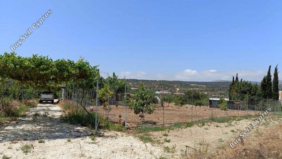 land for sale neo chorio paphos 1385958 image 15298873