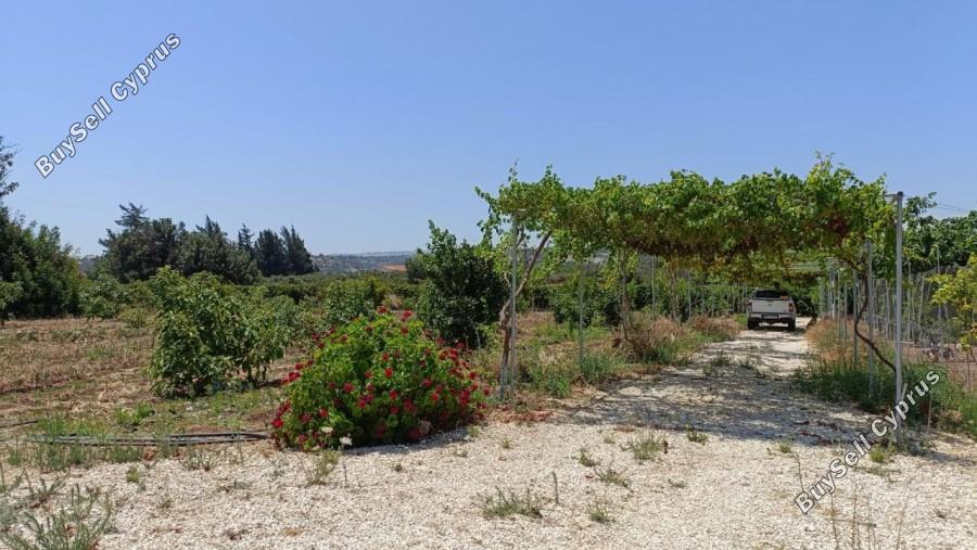 land for sale neo chorio paphos 1385958 image 15298876