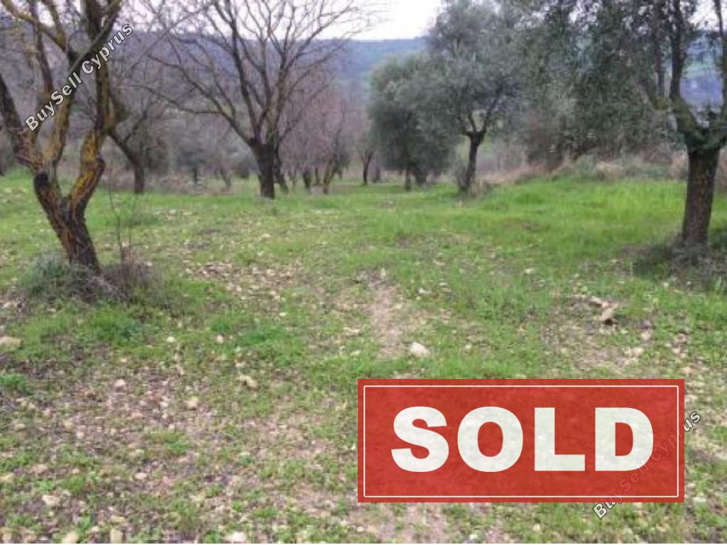 land sold fyti paphos 945958 image 848566
