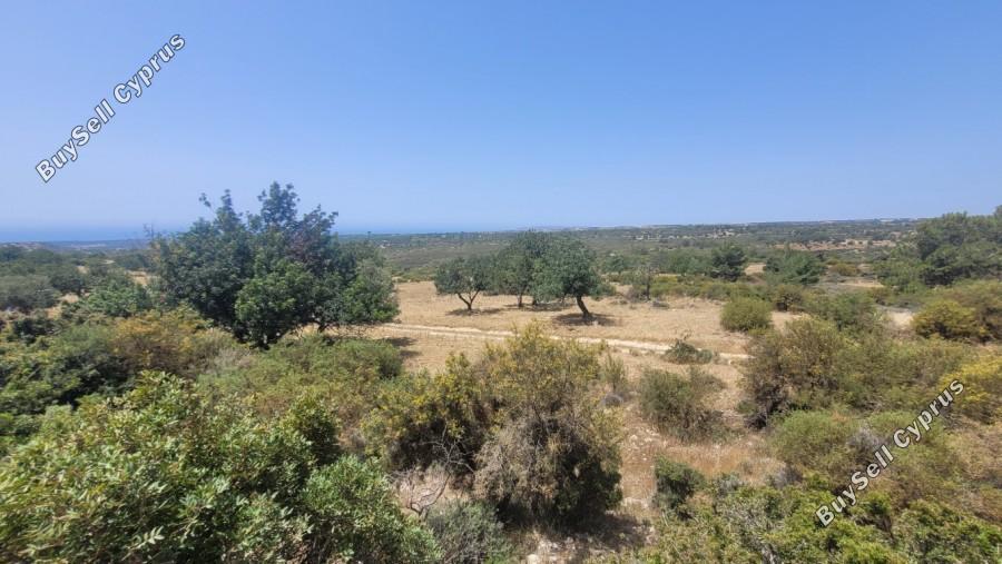 3 bedroom detached house for sale souni zanakia limassol 8382068 image 15276641