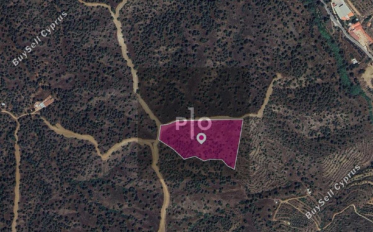 land for sale agios theodoros soleas nicosia 8275068 image 15157208