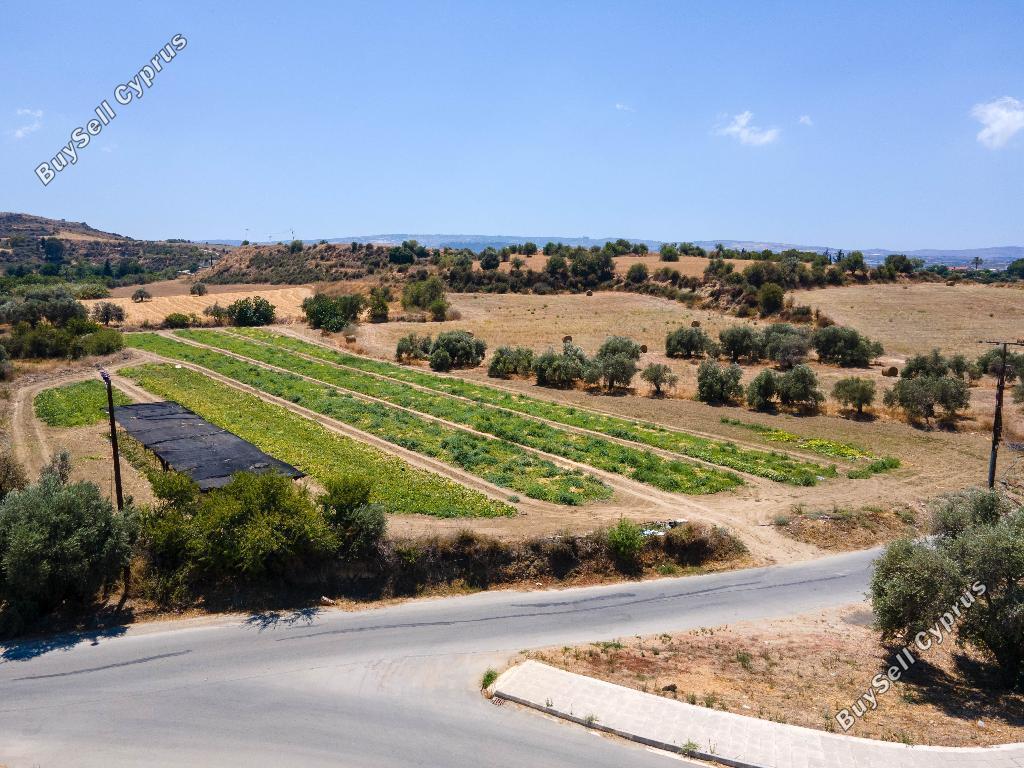 land for sale poli chrysochous paphos 823068 image 15598945