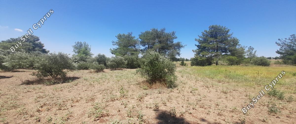 3233 SQM Land for sale in Mathiatis, Nicosia 16249817