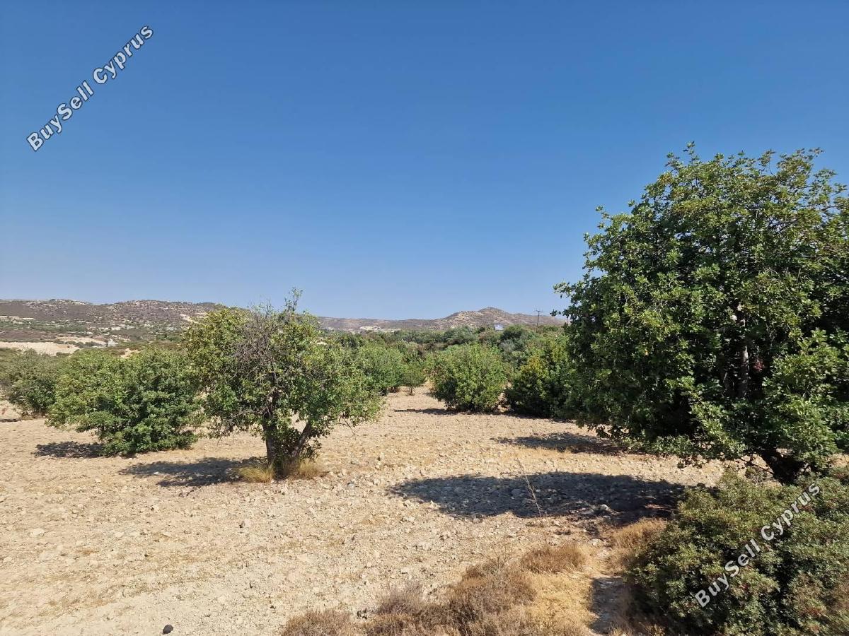 land for sale palodeia limassol 1901168 image 7268482