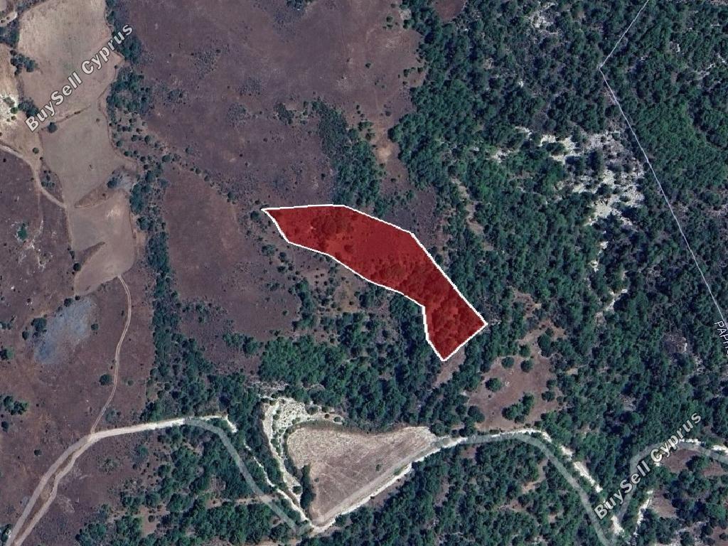 land for sale prastio paphos 8711168 image 17010345