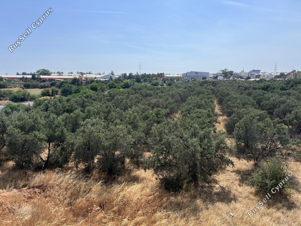 1 bedroom apartment for rent anthoupoli limassol limassol 8827268 image 16974707