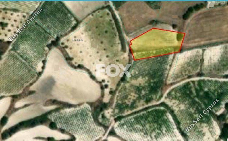 1998 SQM Land for sale in Letymvou, Paphos 5520571