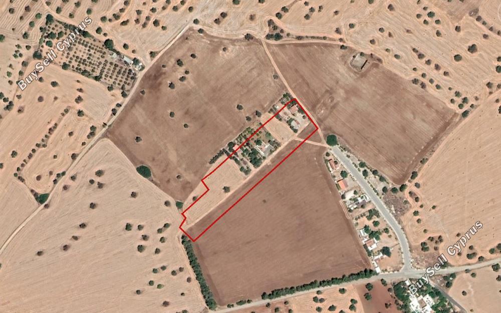 land for sale mazotos larnaca 898268 image 13669197