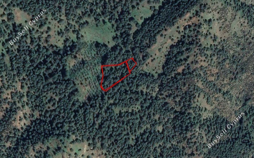 land for sale pigenia nicosia 830268 image 6571197