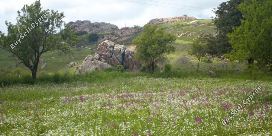 12041 SQM Land for sale in Ineia, Paphos 10189059