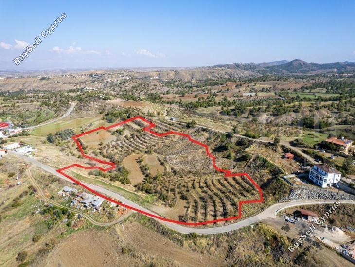 31952 SQM Plot for sale in Nikitari, Nicosia 13373927