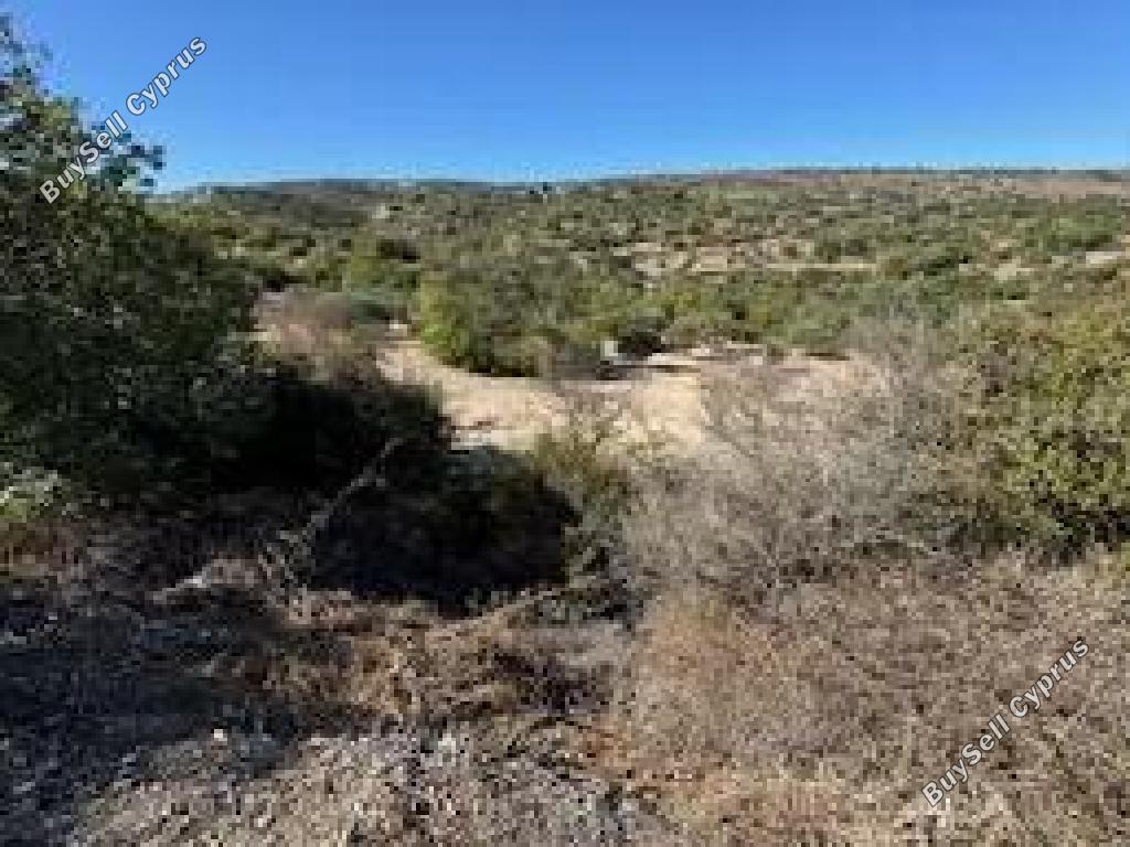 land for sale drimou paphos 7839468 image 15596594