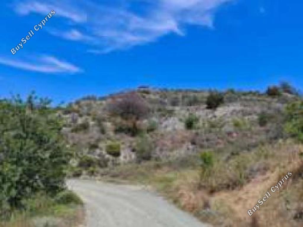 6934 SQM Land for sale in Pelendri, Limassol 15594792