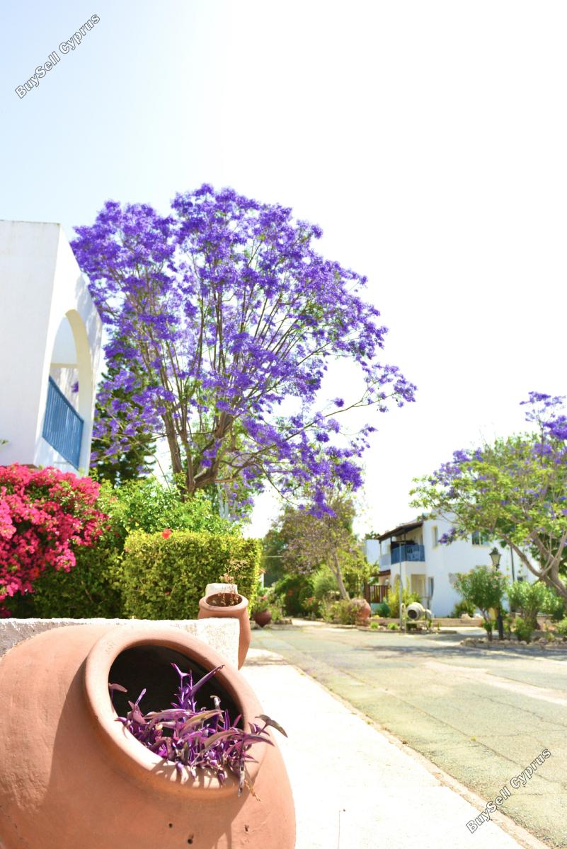 2 bedroom ground floor apartment for sale kato paphos paphos 8946568 image 17714963