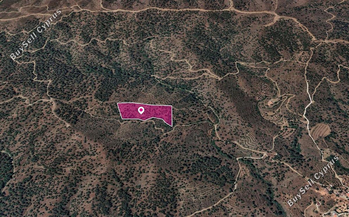 land for sale agios theodoros soleas nicosia 1057568 image 3742883