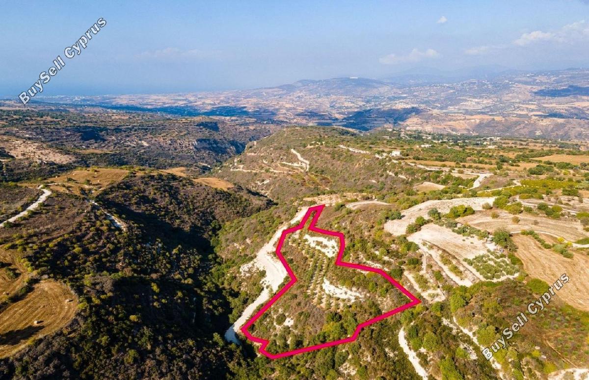 land for sale pano akourdalia paphos 8237568 image 14230857