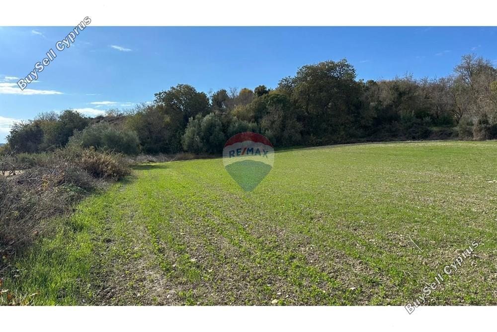land for sale kallepeia paphos 7985668 image 14146647