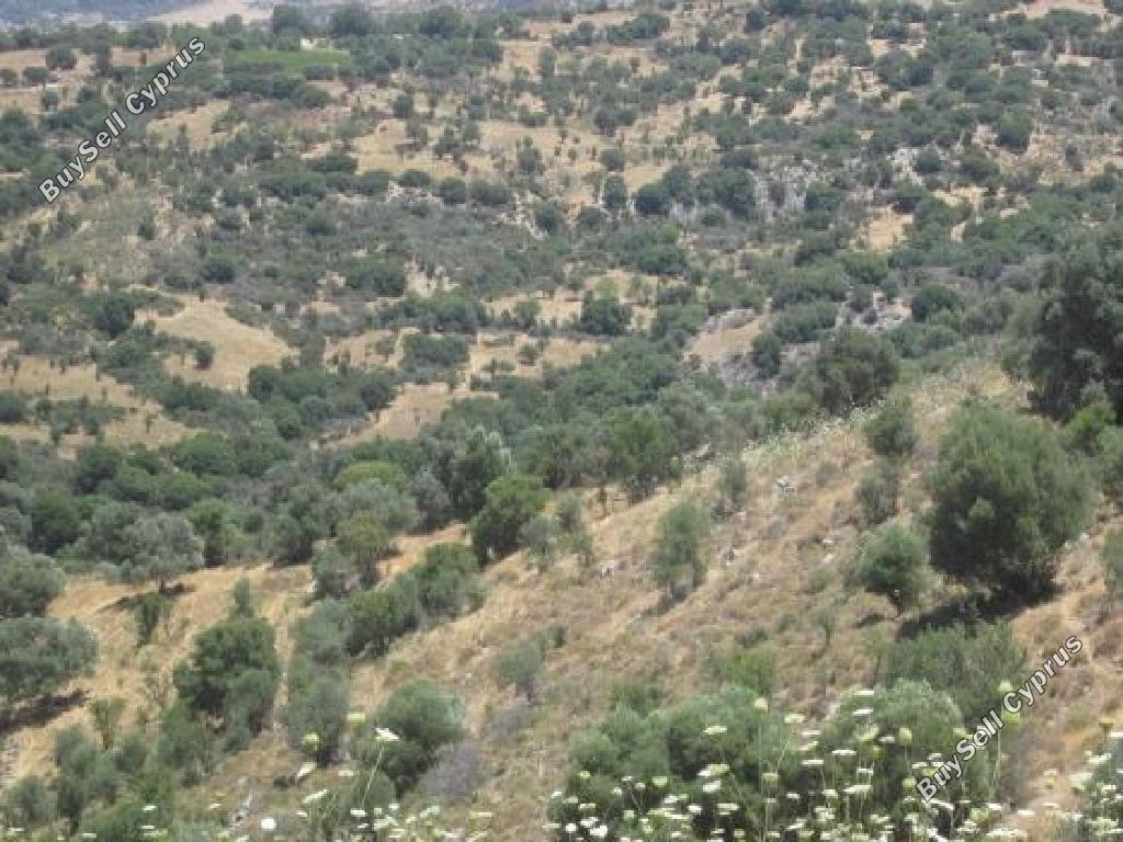 land for sale statos agios fotios paphos 945668 image 15598632