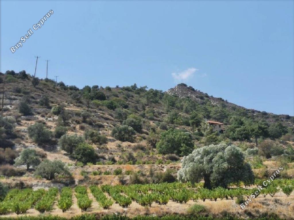 land for sale agios mamas limassol 925768 image 16009552