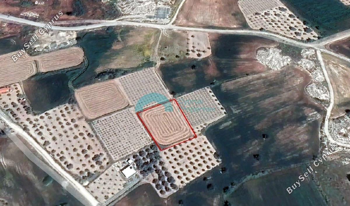 land for sale anafotida larnaca 1162768 image 5432632