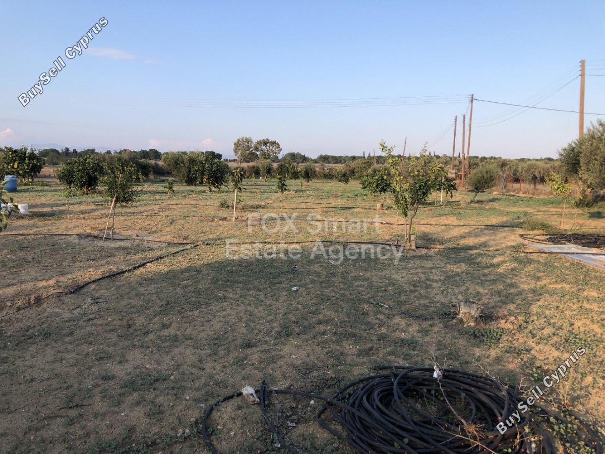 land for sale palaiometocho nicosia 1151768 image 5141573